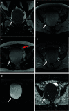 Fig. 8