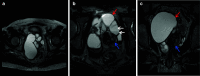 Fig. 9