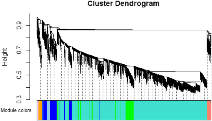 FIGURE 3