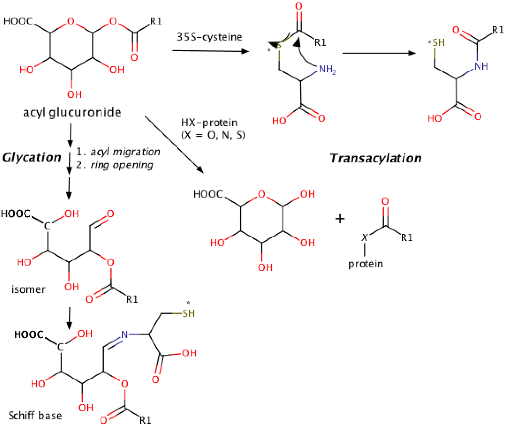 Figure 13.