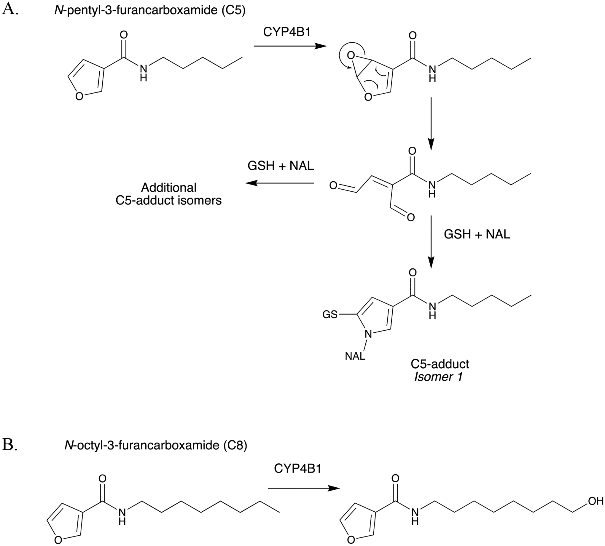 Figure 10.