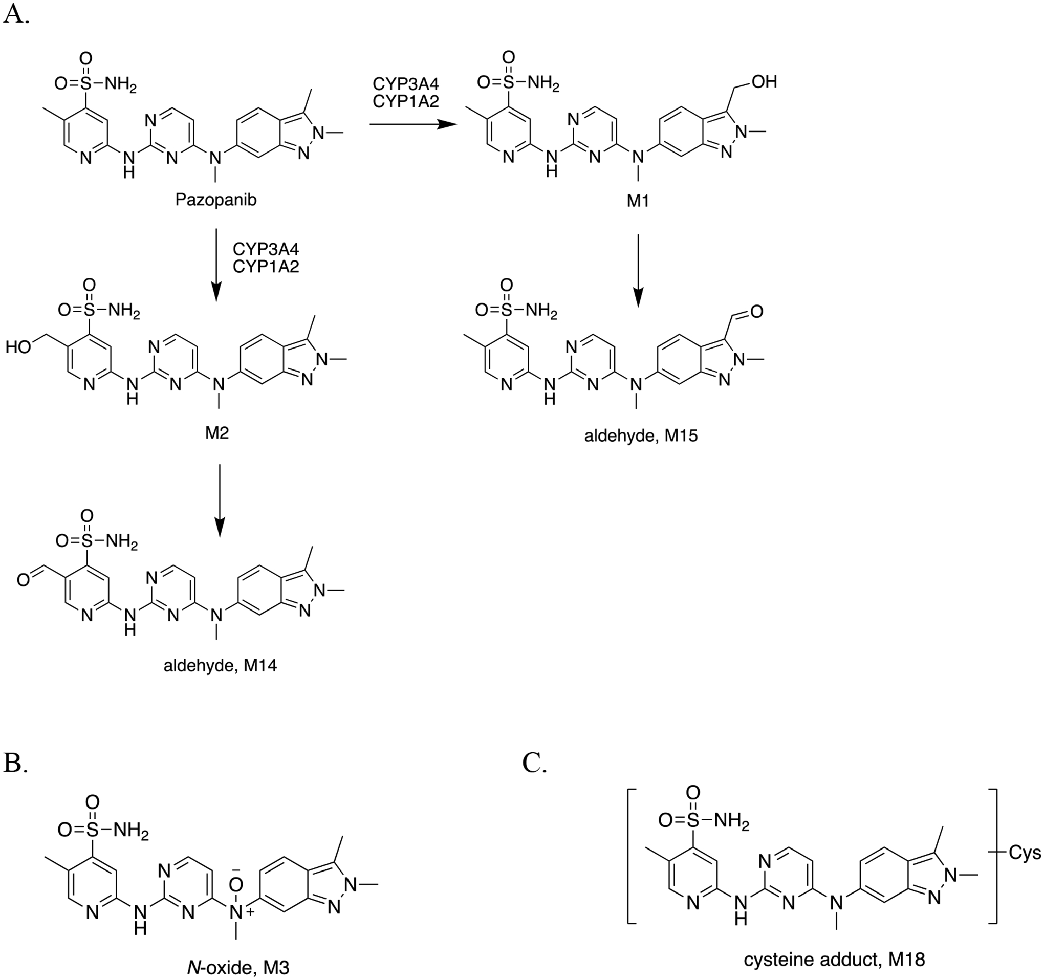 Figure 11.