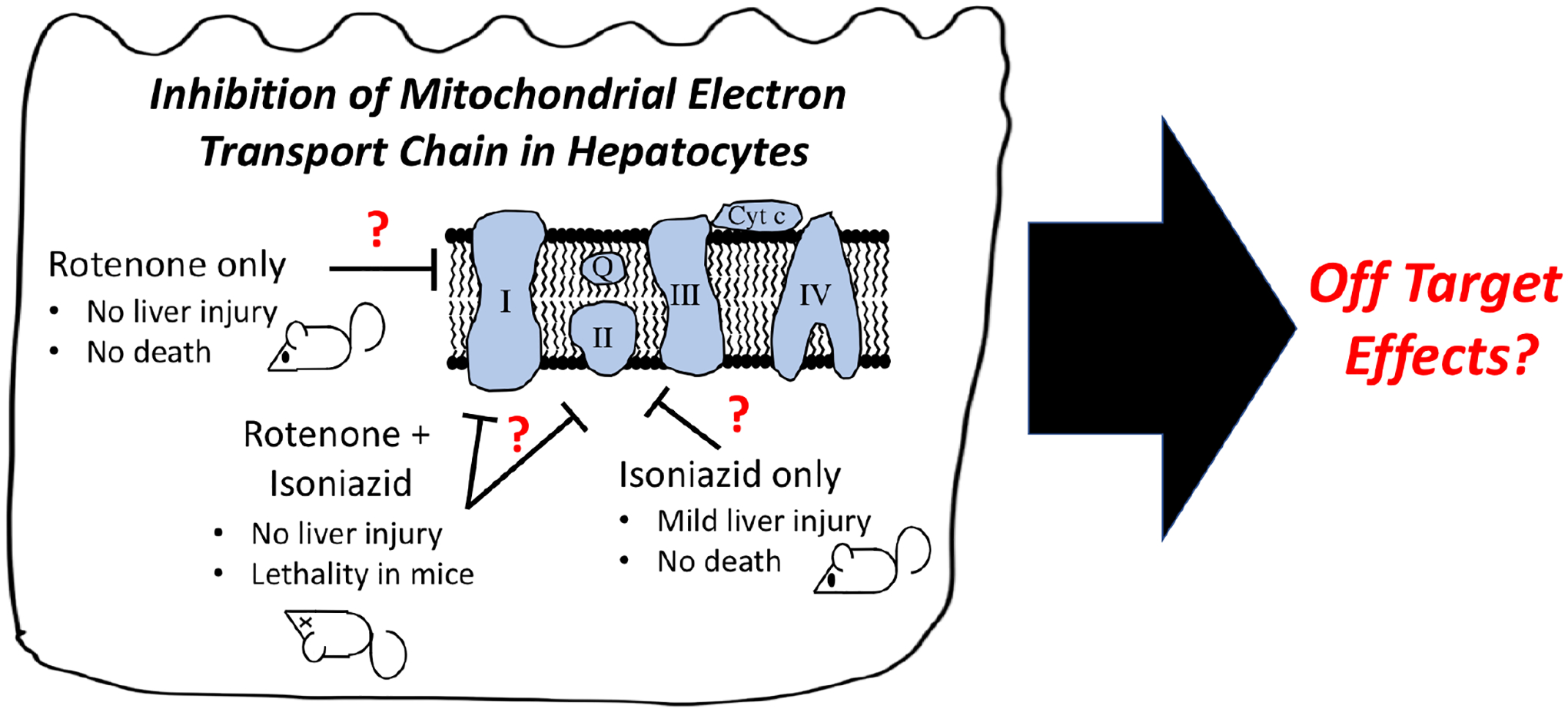 Figure 12.