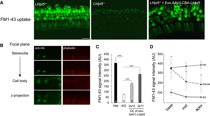 Figure 4