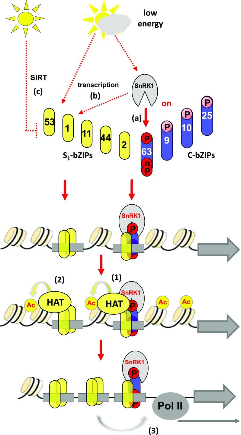 Figure 7.