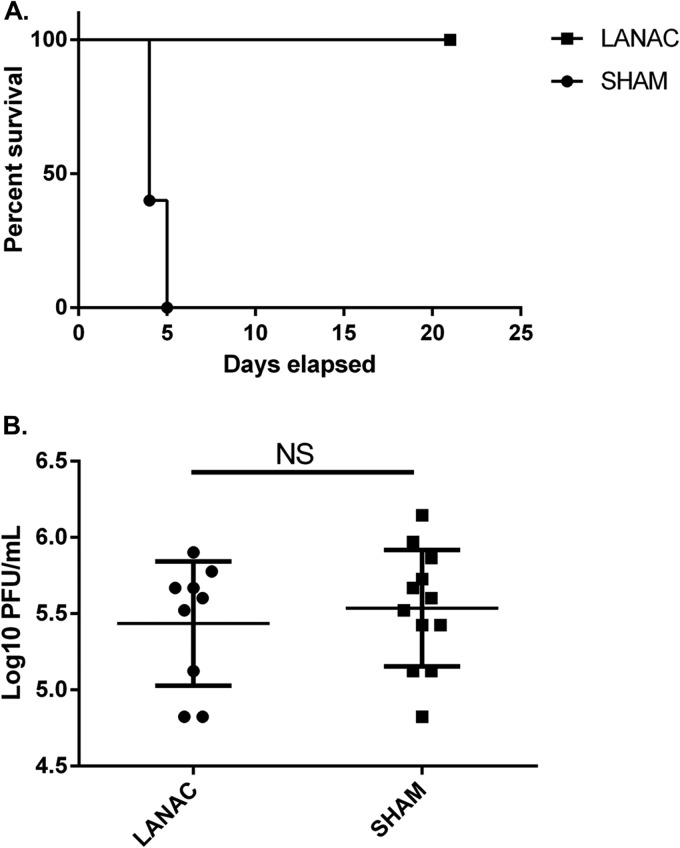 FIG 4