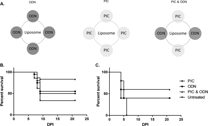 FIG 1