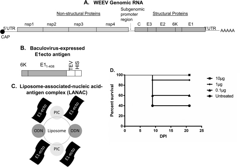 FIG 2