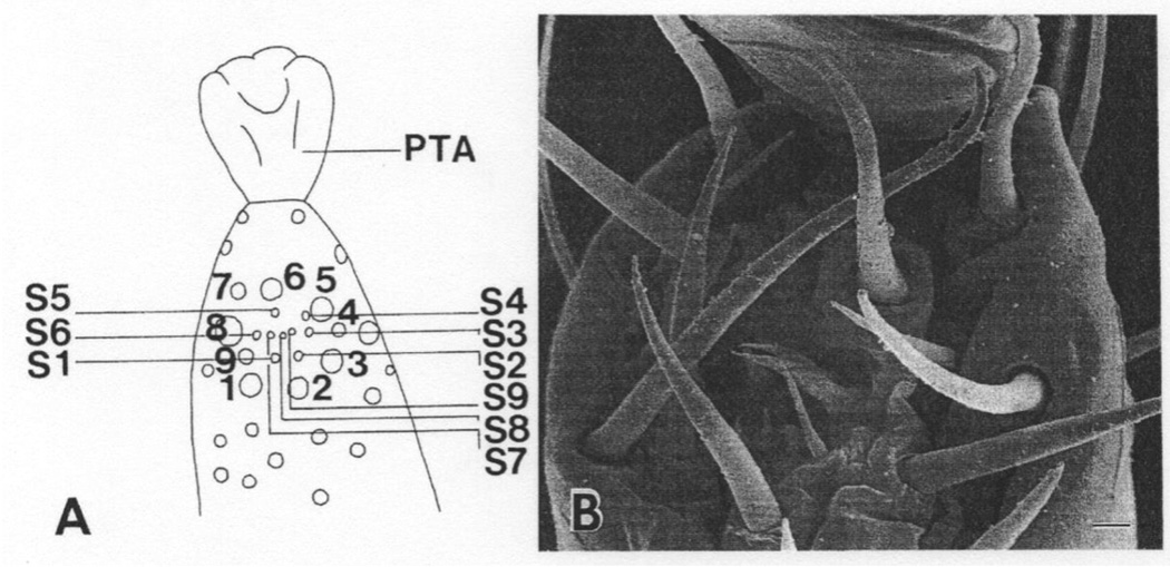 Fig. 2