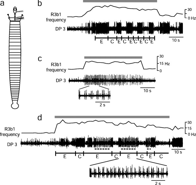 Fig. 3.