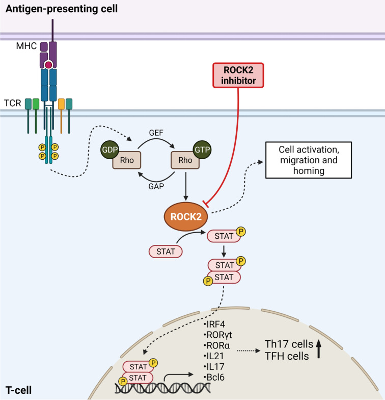 Figure 2