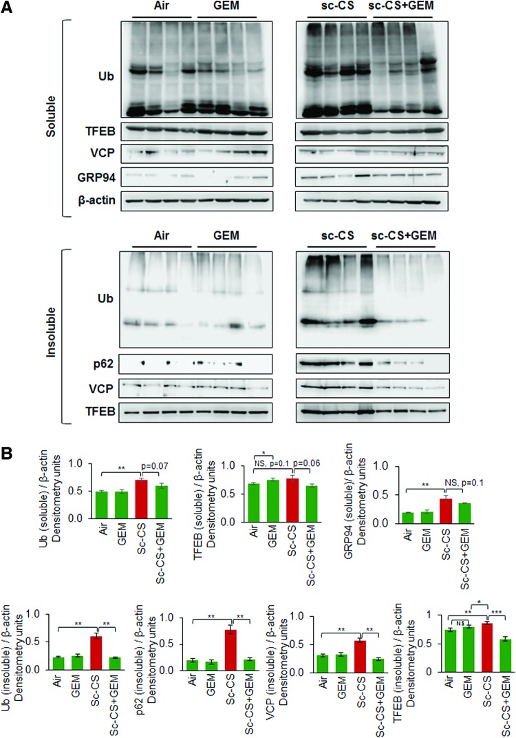 FIG. 6.