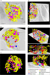 FIG 2