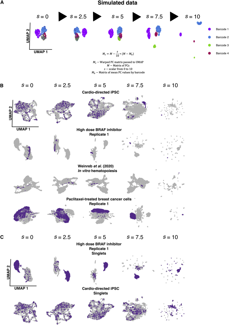 Figure 4