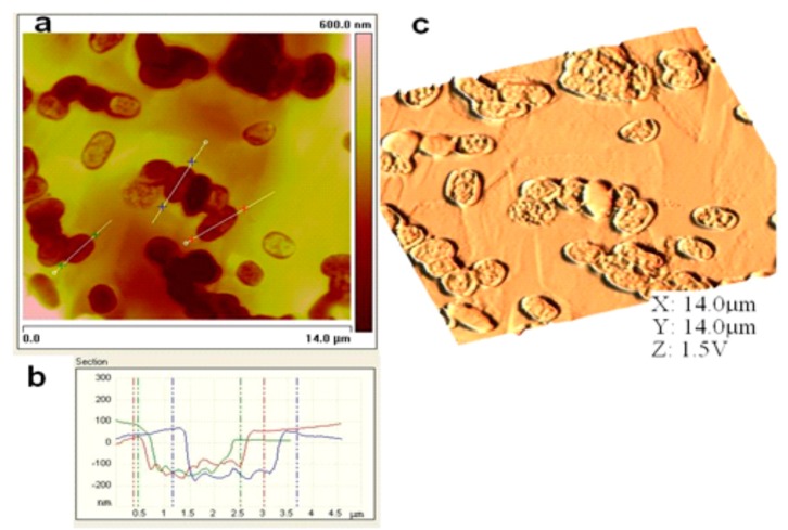 Figure 6.