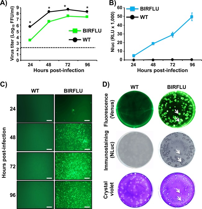 FIG 3