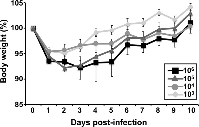 FIG 6