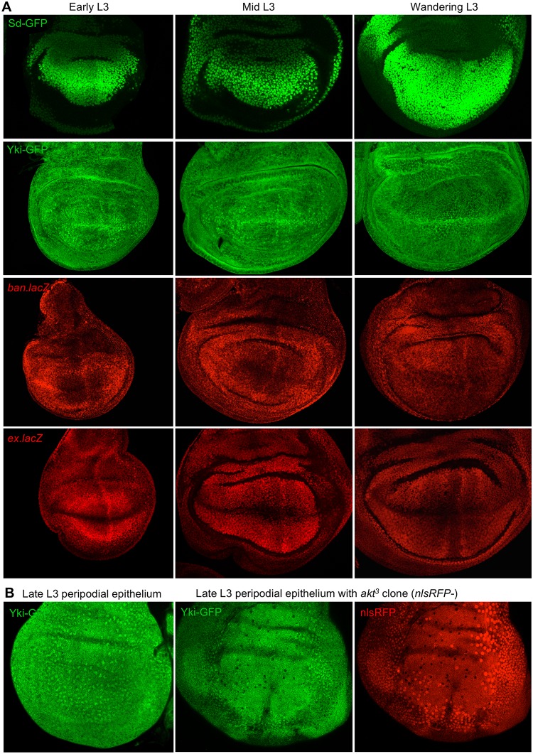 Fig 6