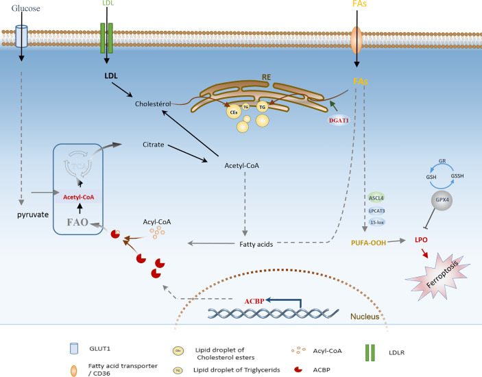 Figure 4