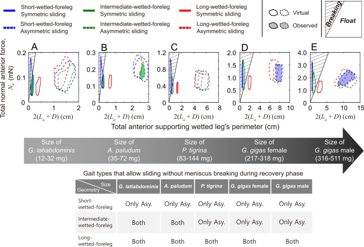 Model predictions of floating conditions.