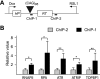 FIG. 9.