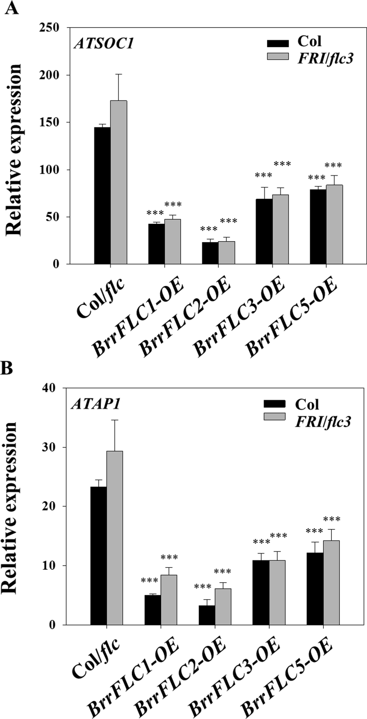 Supplemental Fig. 2