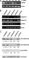 FIG. 6.
