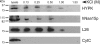 FIG. 3.