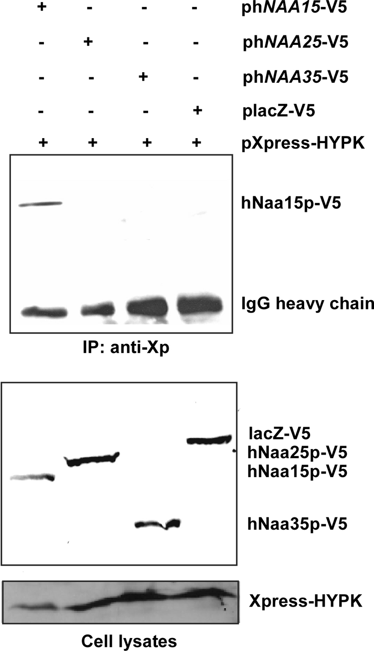 FIG. 5.