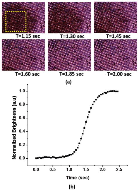 Fig. 6