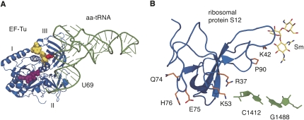 FIGURE 1.