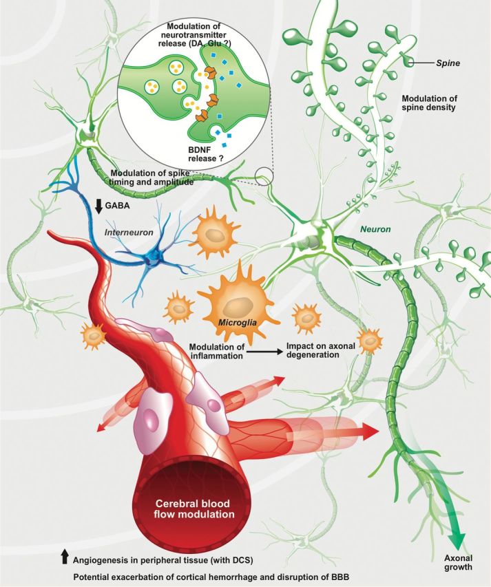 Figure 3.