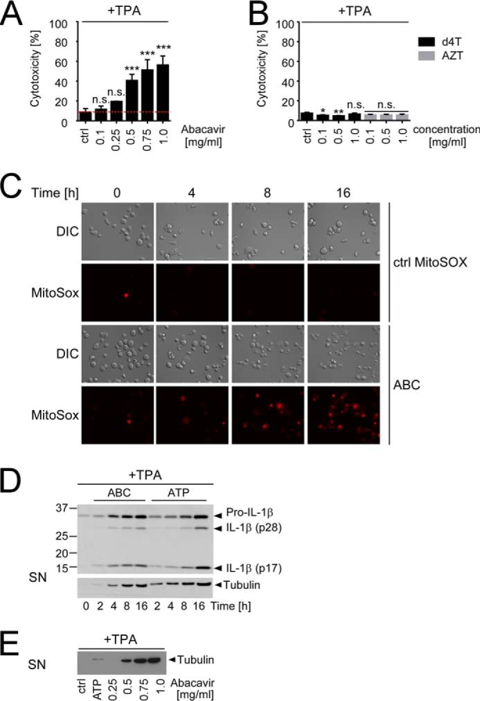 FIGURE 4.