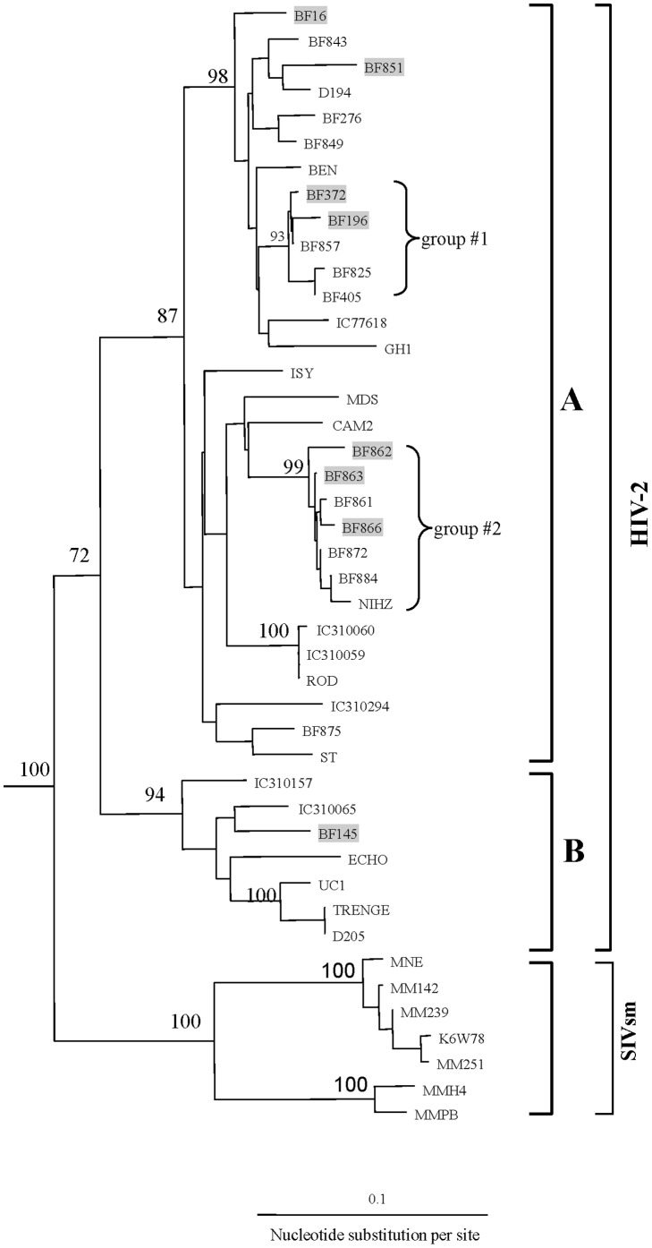 Figure 2