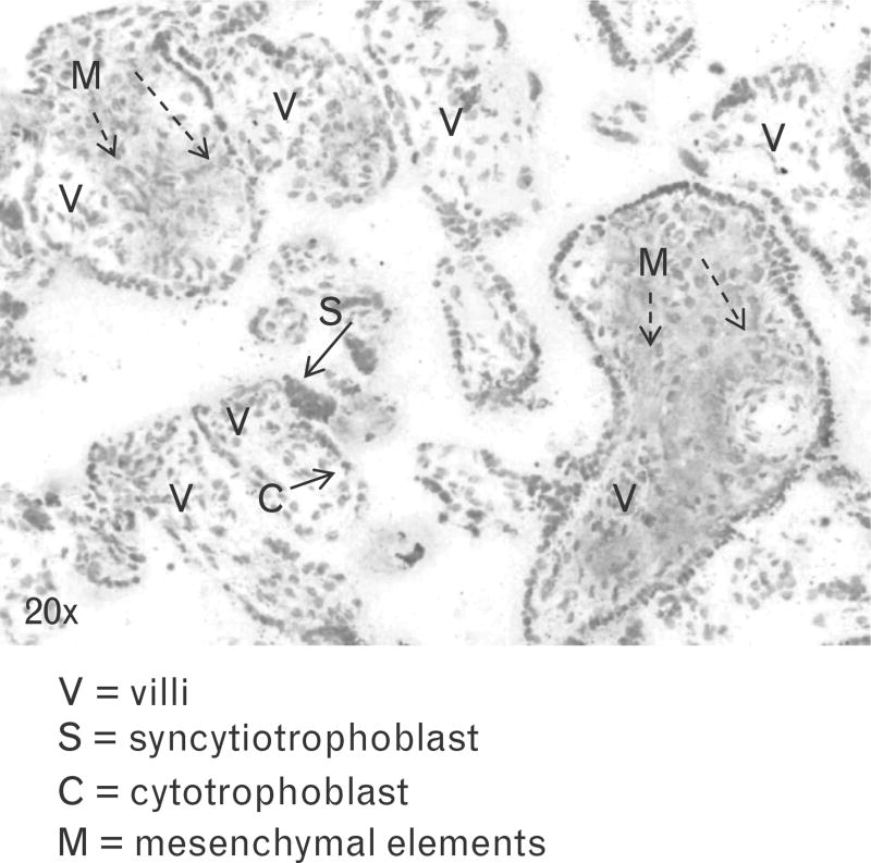 FIGURE 3