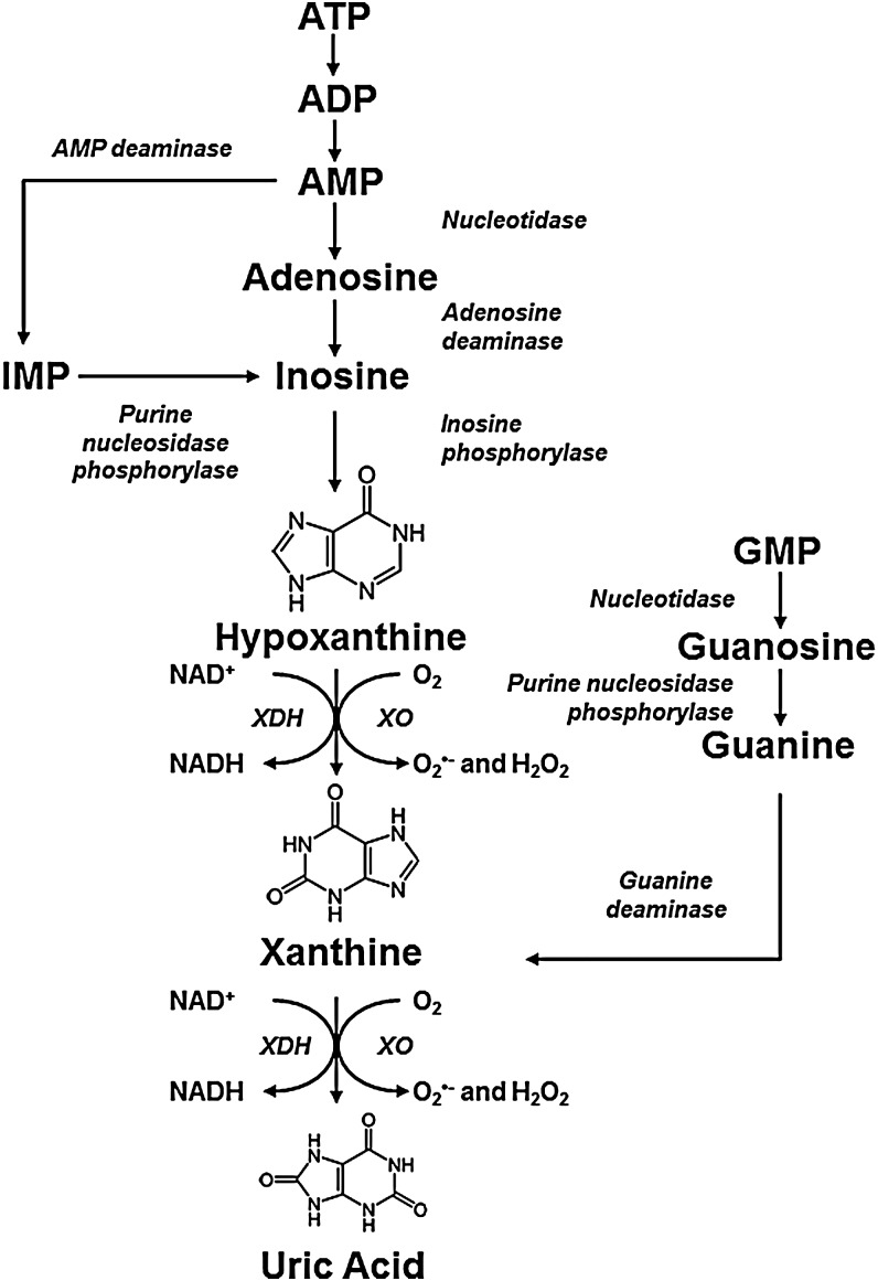 FIG. 1.