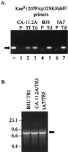 FIG. 6