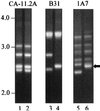 FIG. 7