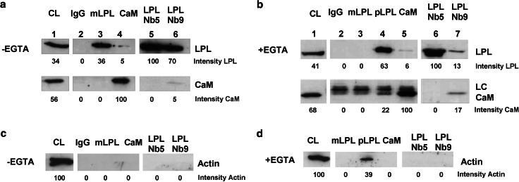 Fig. 6