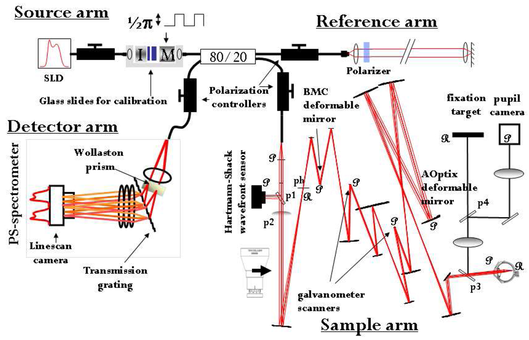 Fig. 1