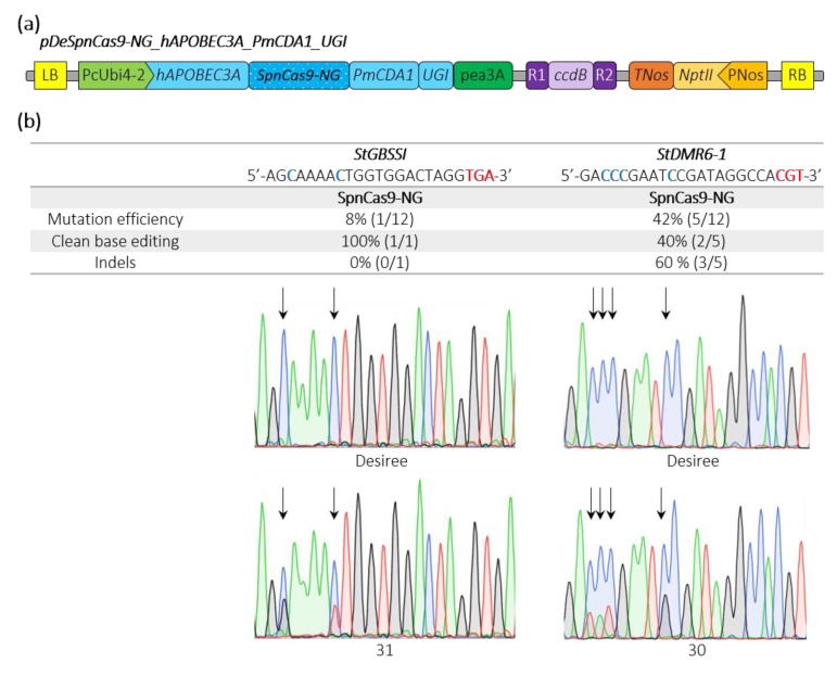 Figure 4