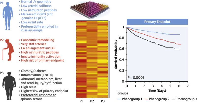 Central Illustration. Clinical phenogroups in HFpEF.