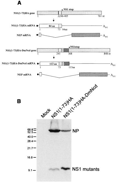 FIG. 3.