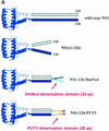 FIG. 2.