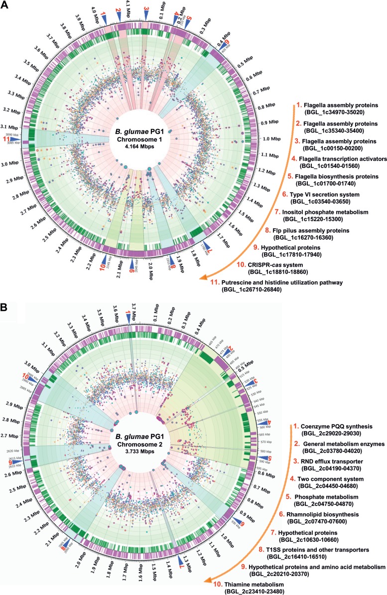 FIG 6