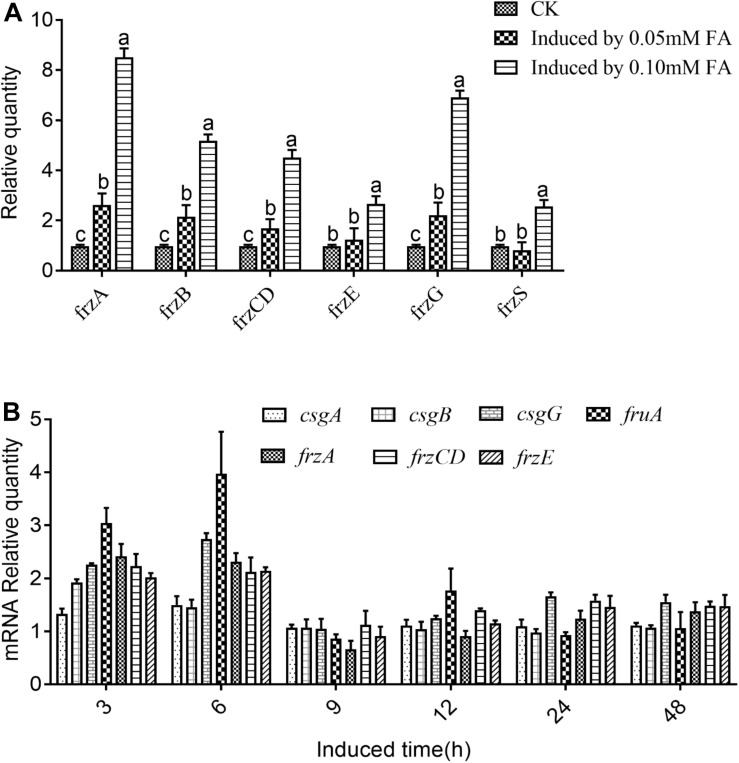 FIGURE 4