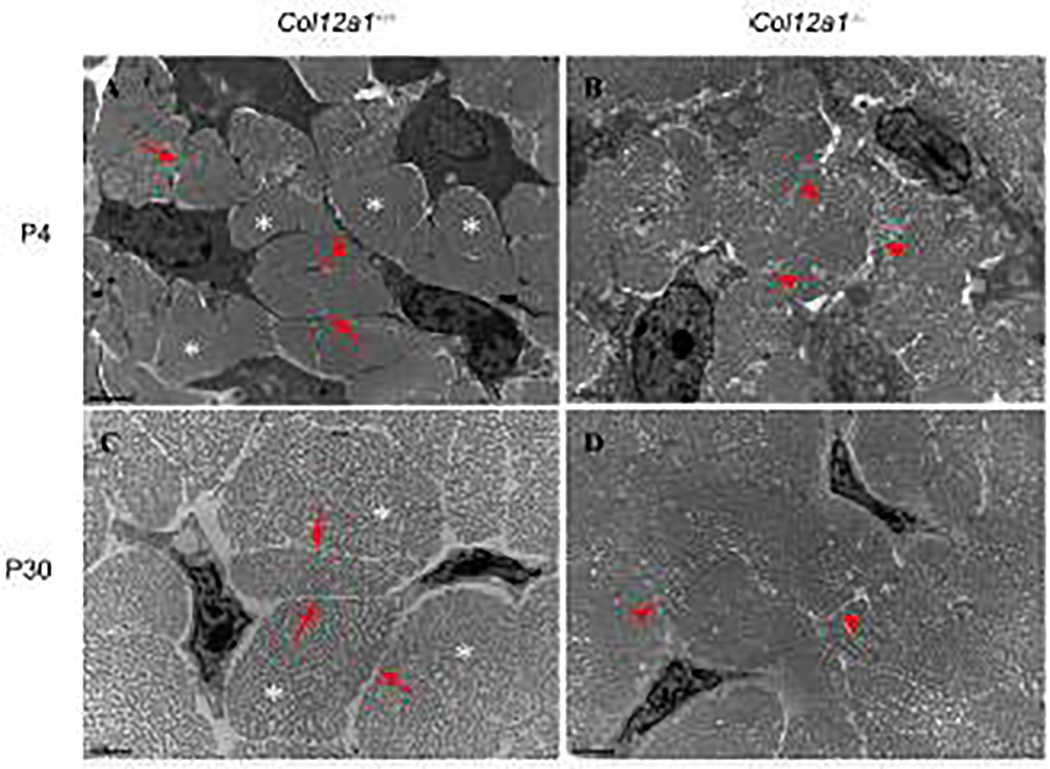 Fig 3.