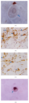 Figure 9