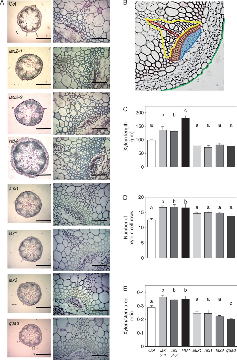 Fig. 4.