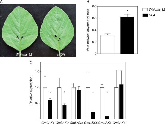 Fig. 8.